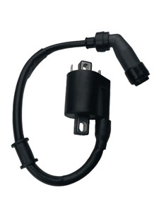 QJ SRK125S/SRK125R Ateşleme Bobini