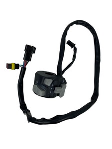  QJ SRT800X Sinyal Anahtarı sol