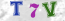 Güvenlik Resmi